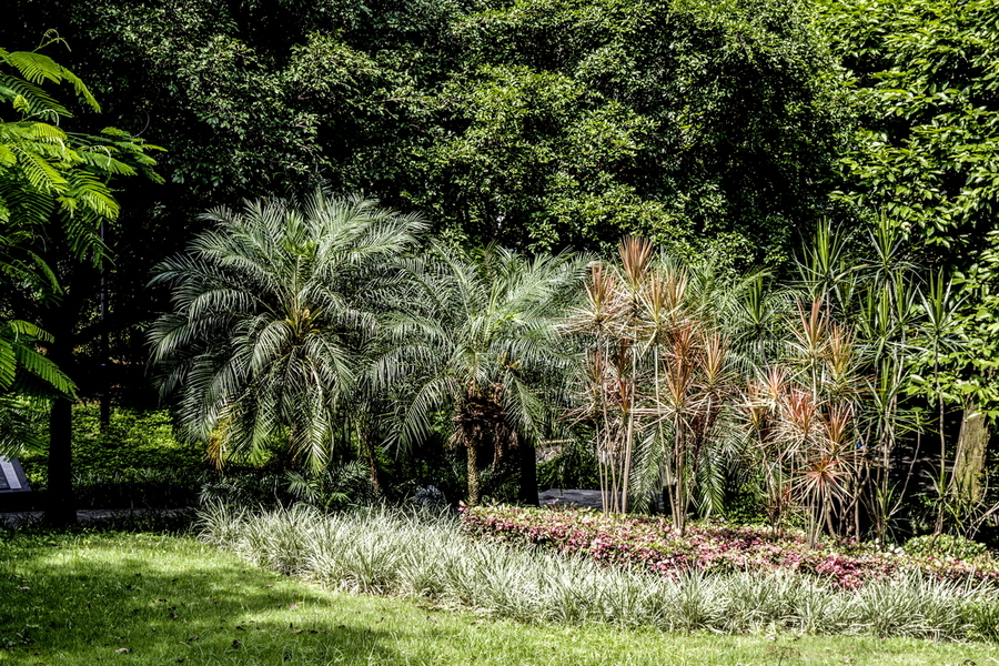 【雕塑公园的优美环境摄影图片】生活摄影_太平洋电脑网摄影部落
