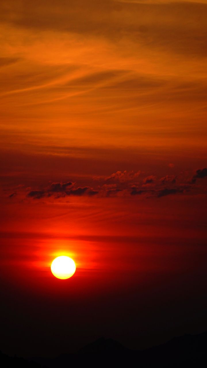 朝阳及野果