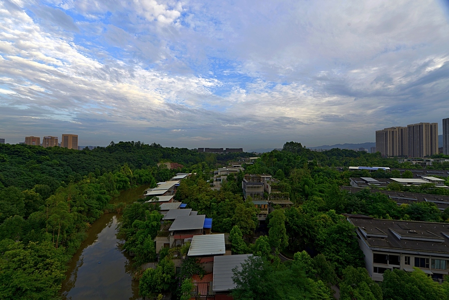 四川美术学院风景 (共p)