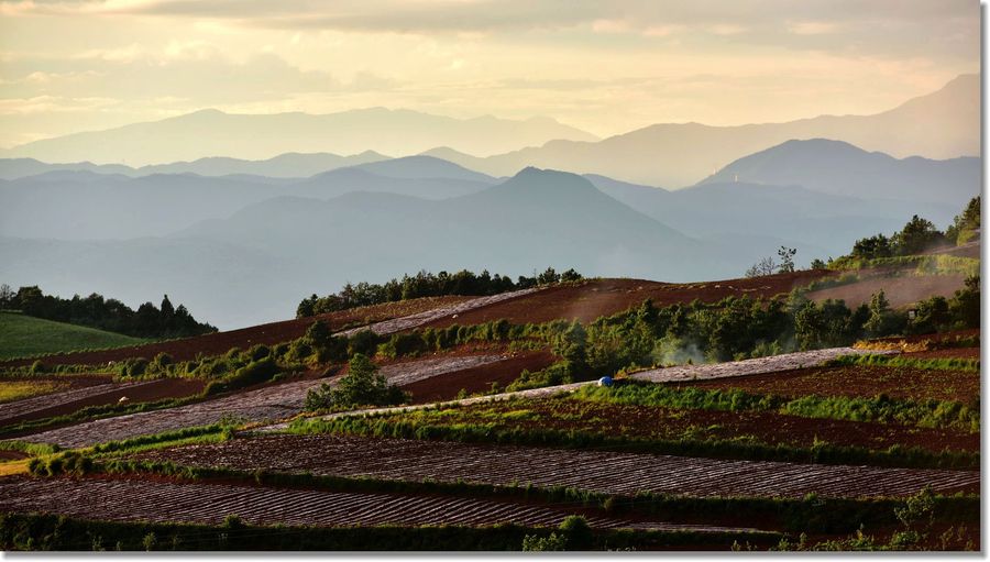 杨柳村的红土地 (共 16 p)