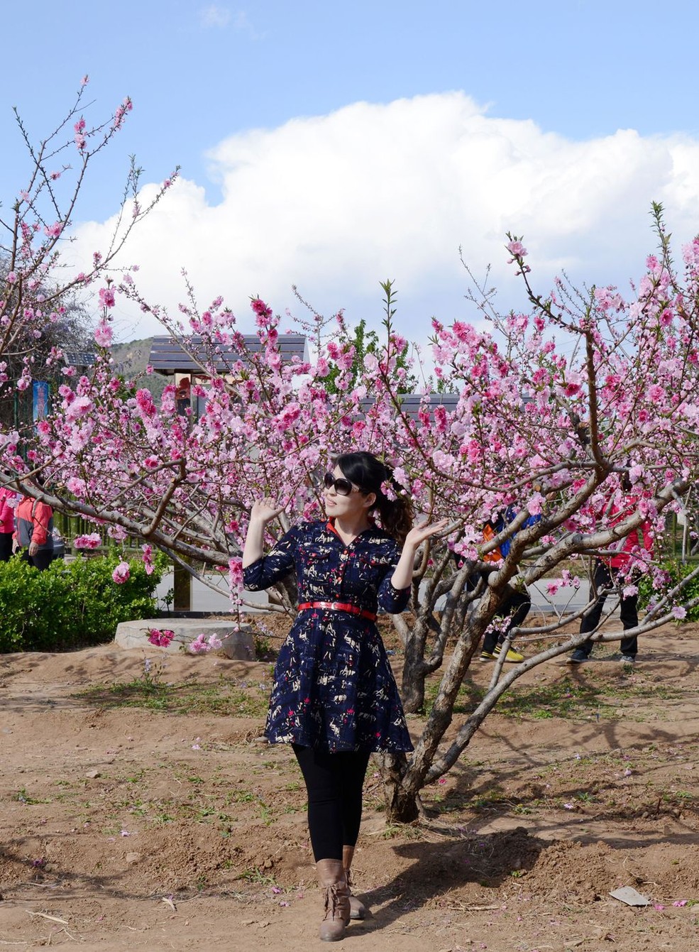 桃花美女