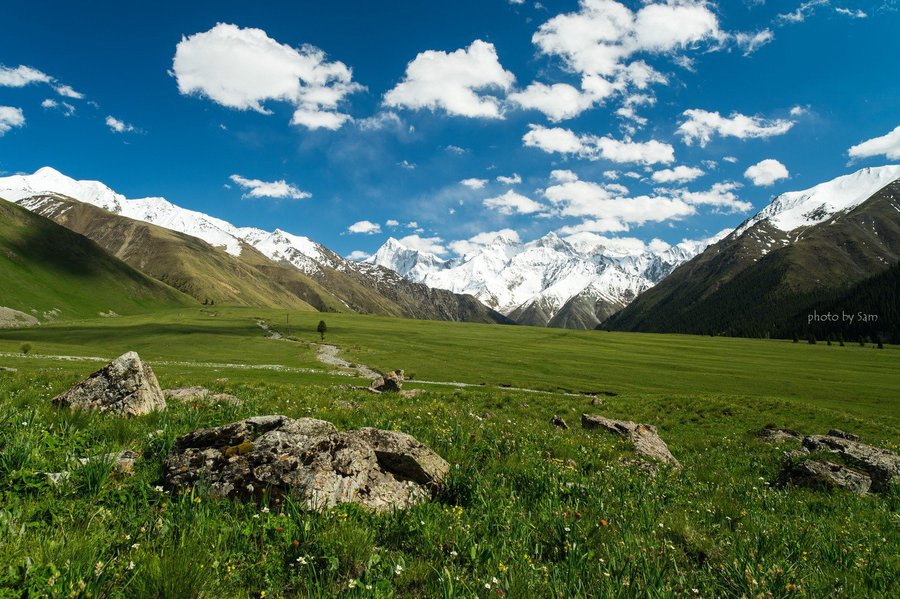 【13天新疆自驾游--夏塔国家森林风景区摄影图