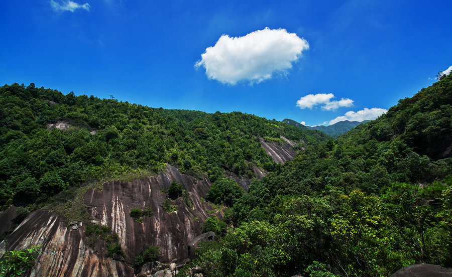 乡村随拍——高山茶园