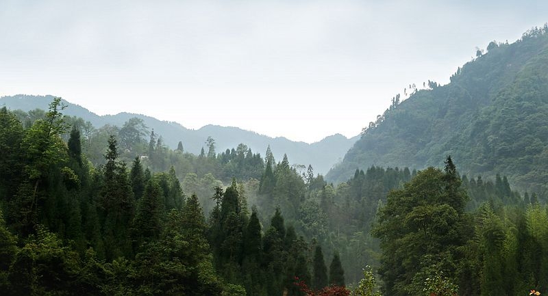 【川西美景--云雾红峡谷摄影图片】风光旅游摄