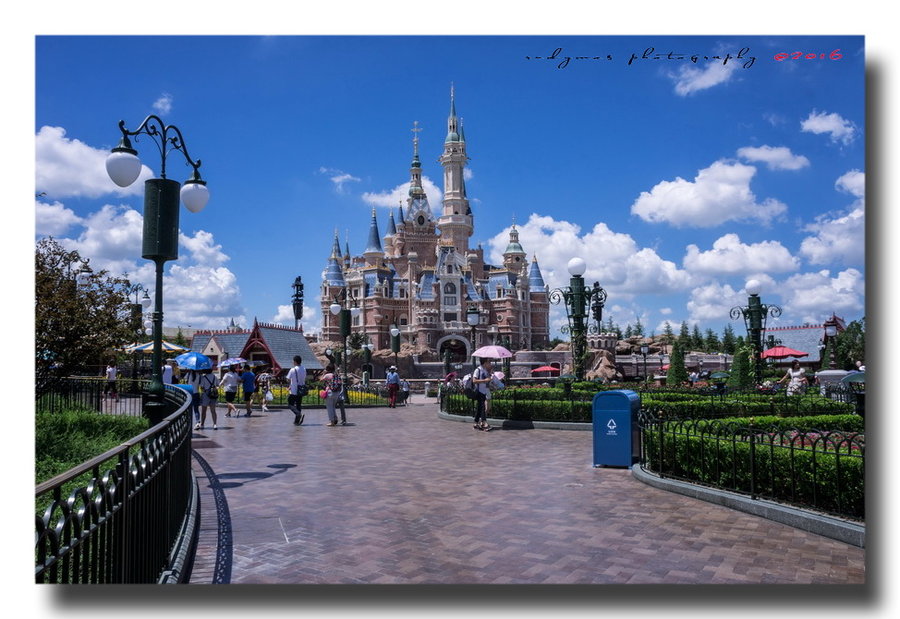 【上海迪士尼摄影图片】生活摄影