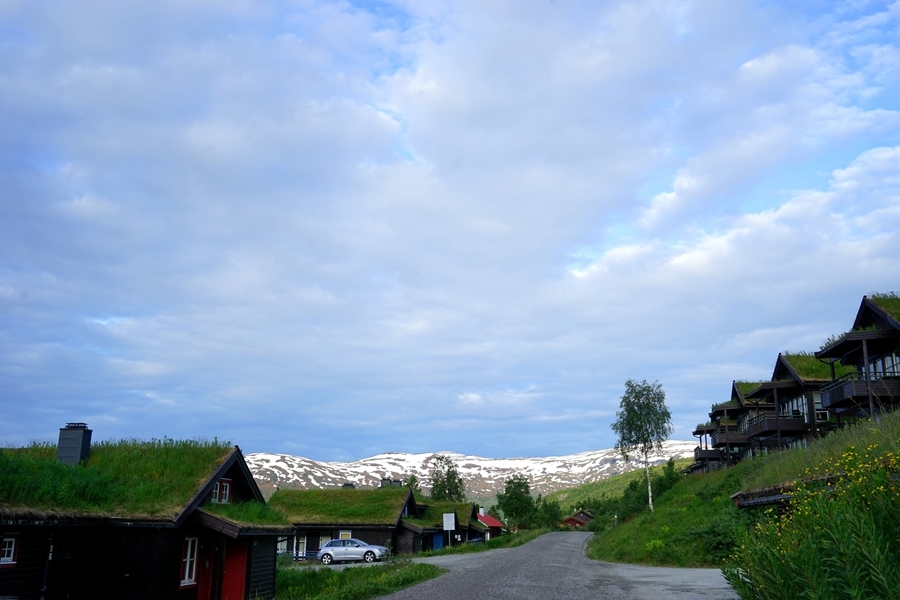 【挪威，房顶上铺草皮的高山度假村摄影图片】风光旅游摄影_太平洋电脑网摄影部落