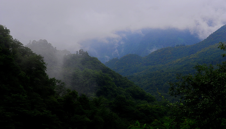 江油观雾山风光(2)