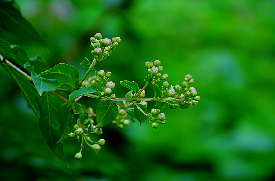 【闲情逸致!摄影图片】风光旅游摄影