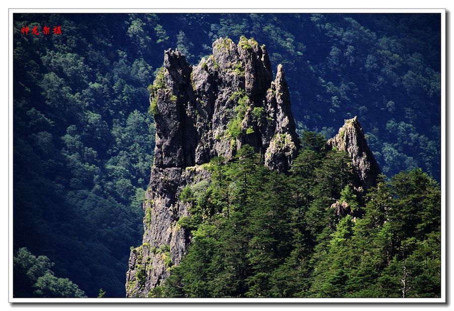 【游神龙架风光之三〈奇异山石〉摄影图片】风光旅游摄影_太平洋电脑