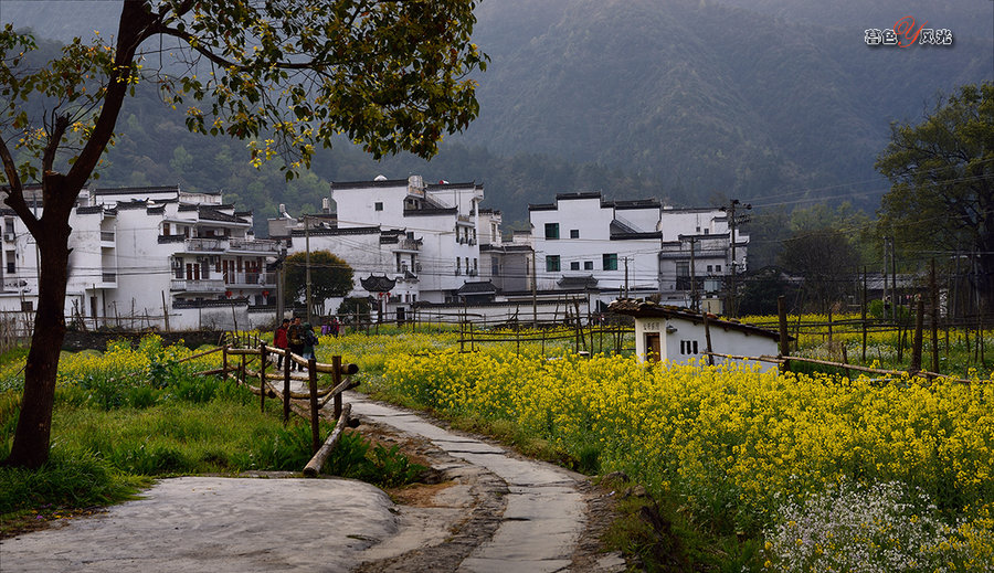 小拍婺源晓起村