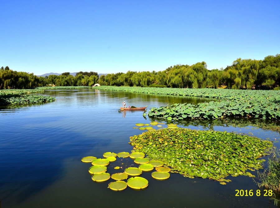 圆明园福海景区