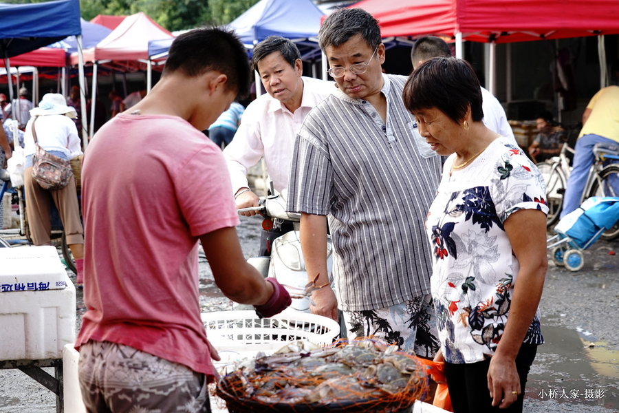 【上海海鲜早市摄影图片】纪实摄影