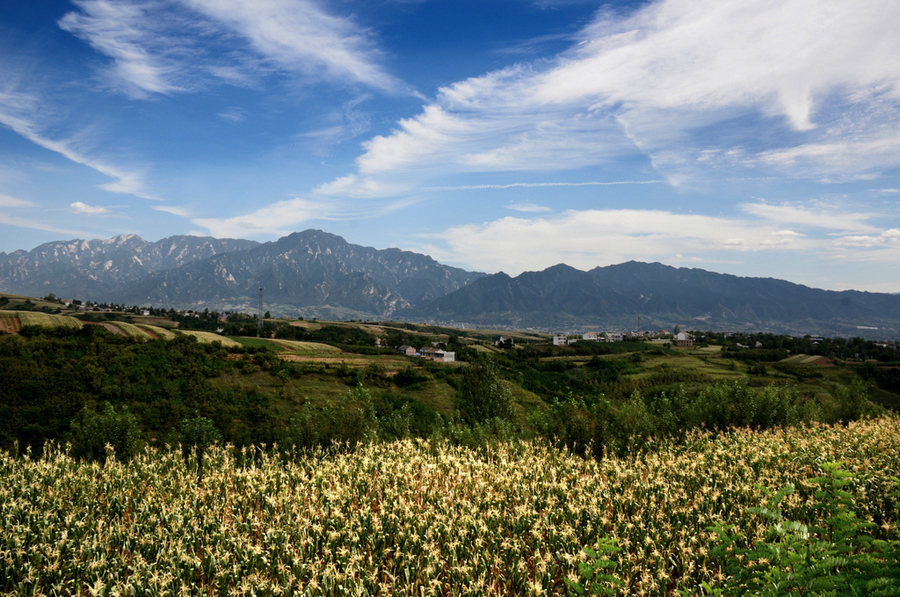 秦岭山麓的秋天