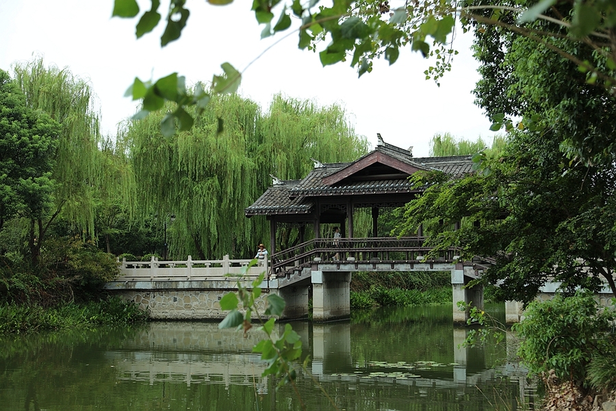 金坛.愚池湾风光