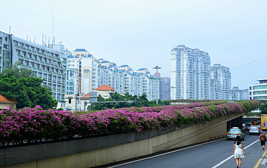 花桥. 花路!