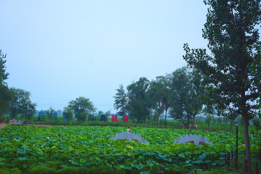 【展古风古韵古景,叙乡愁乡情乡音,走进美丽乡