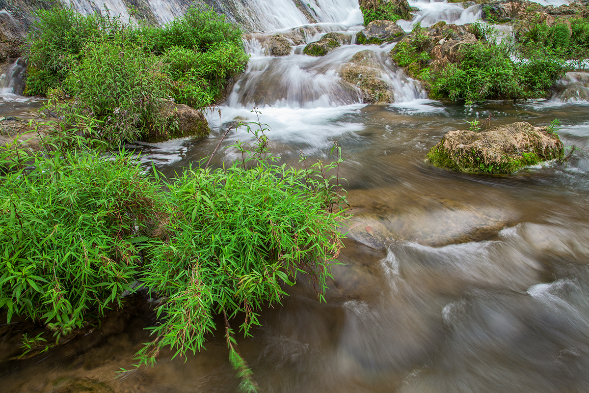 小溪流水