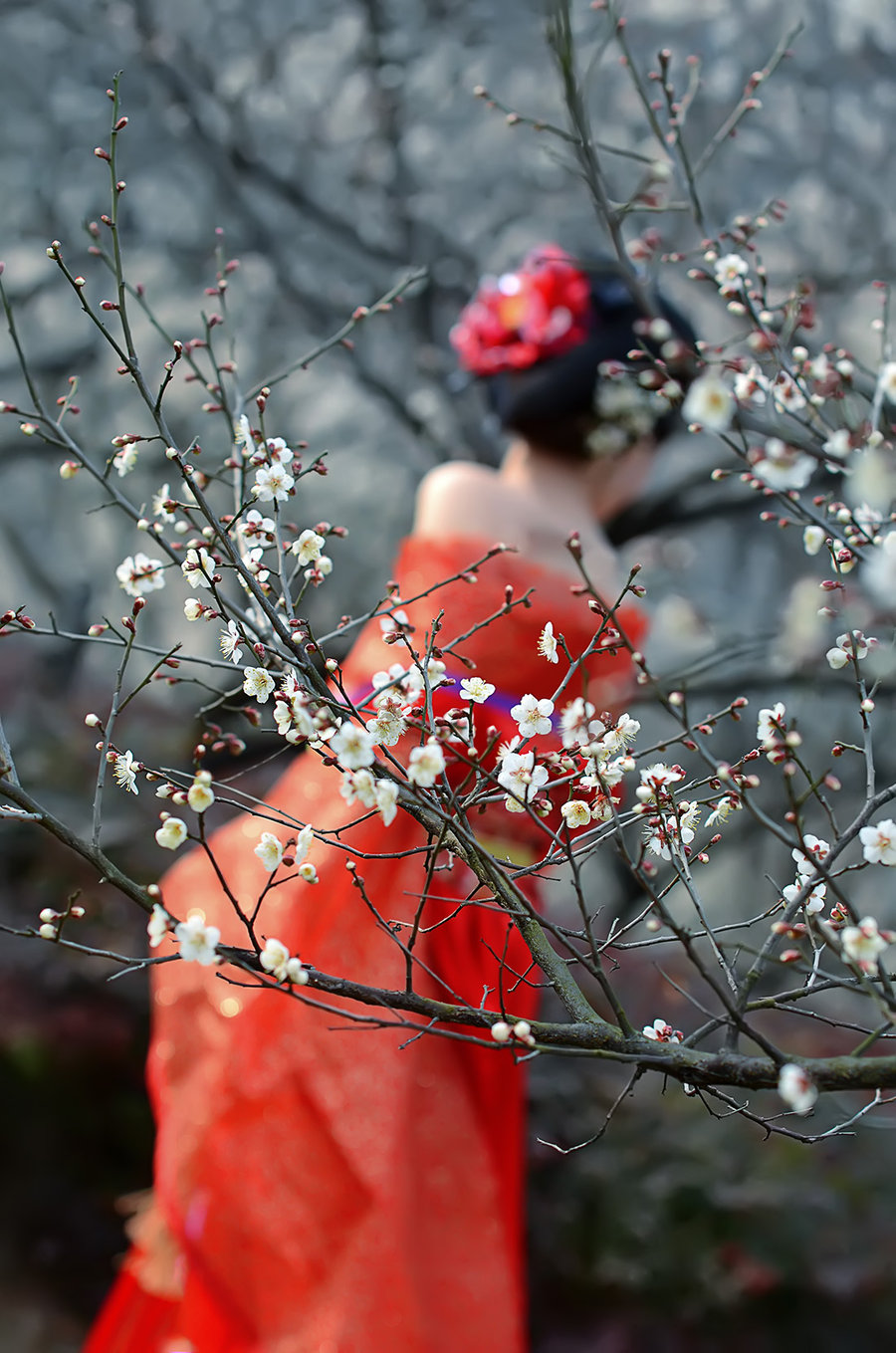 梅花似雪