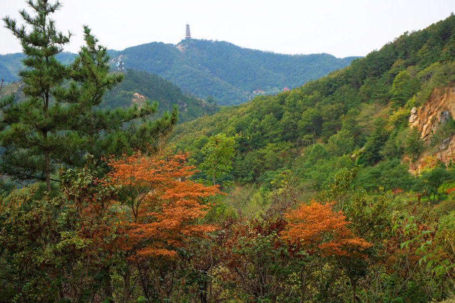 烟台岱王山游记