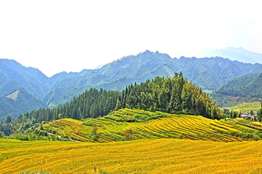 广东连山县,欧家村梯田(共 11 p)