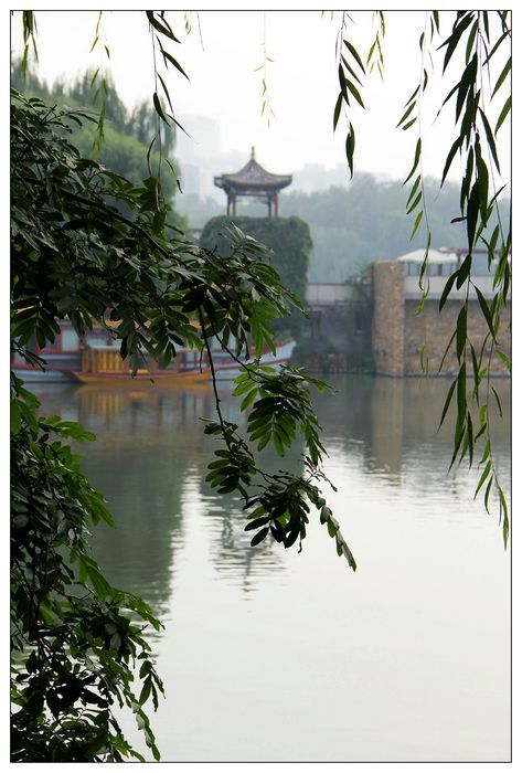 秋游北京紫竹院公园