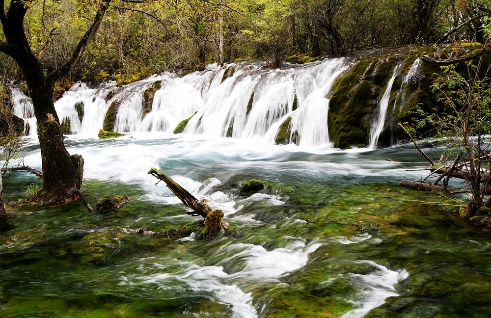 九寨树正沟水景