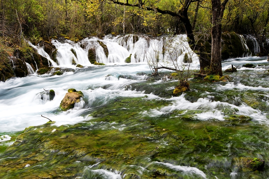 九寨树正沟水景 (共p)