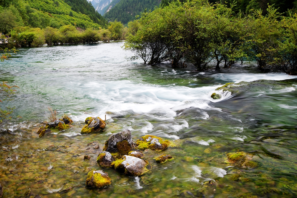 九寨树正沟水景