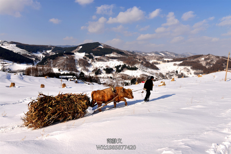 【吉林的雪乡---松岭雪村摄影图片】风光旅游摄