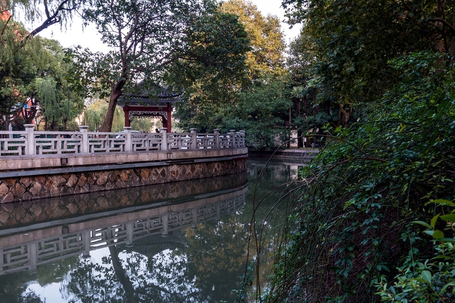 康健园小拍