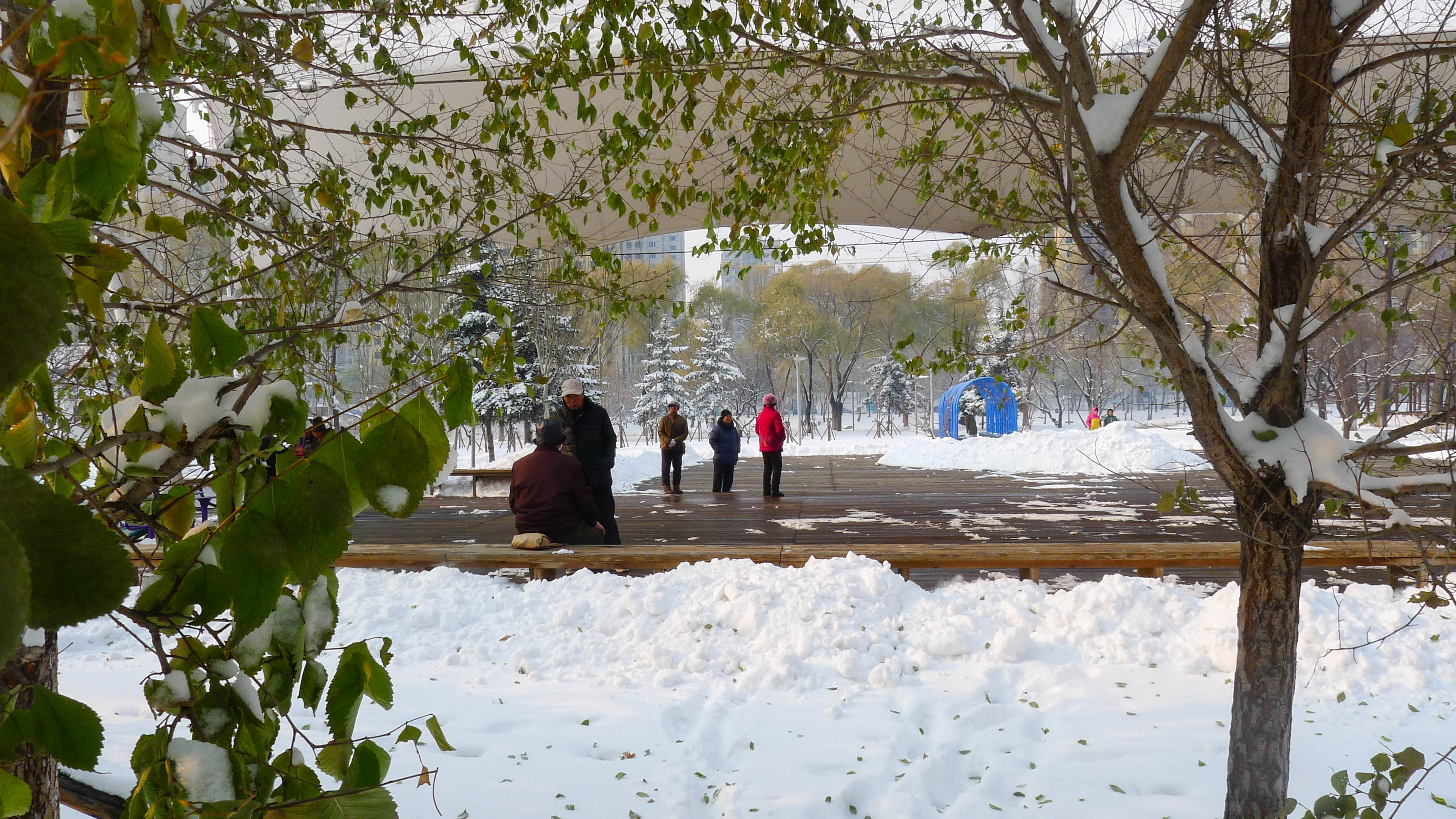 南湖公园冬天雪景