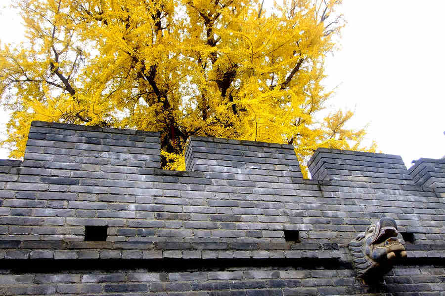 终南山古观音禅寺