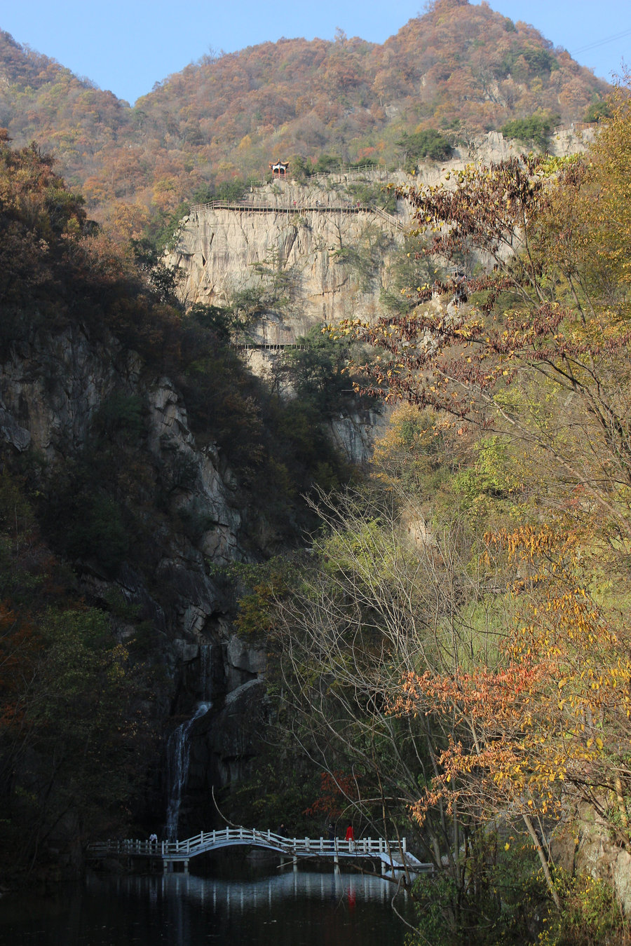 南阳西峡银树沟