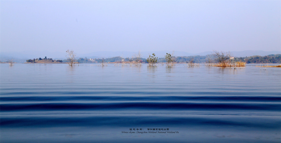 湿地冬韵:湖北漳河国家湿地公园