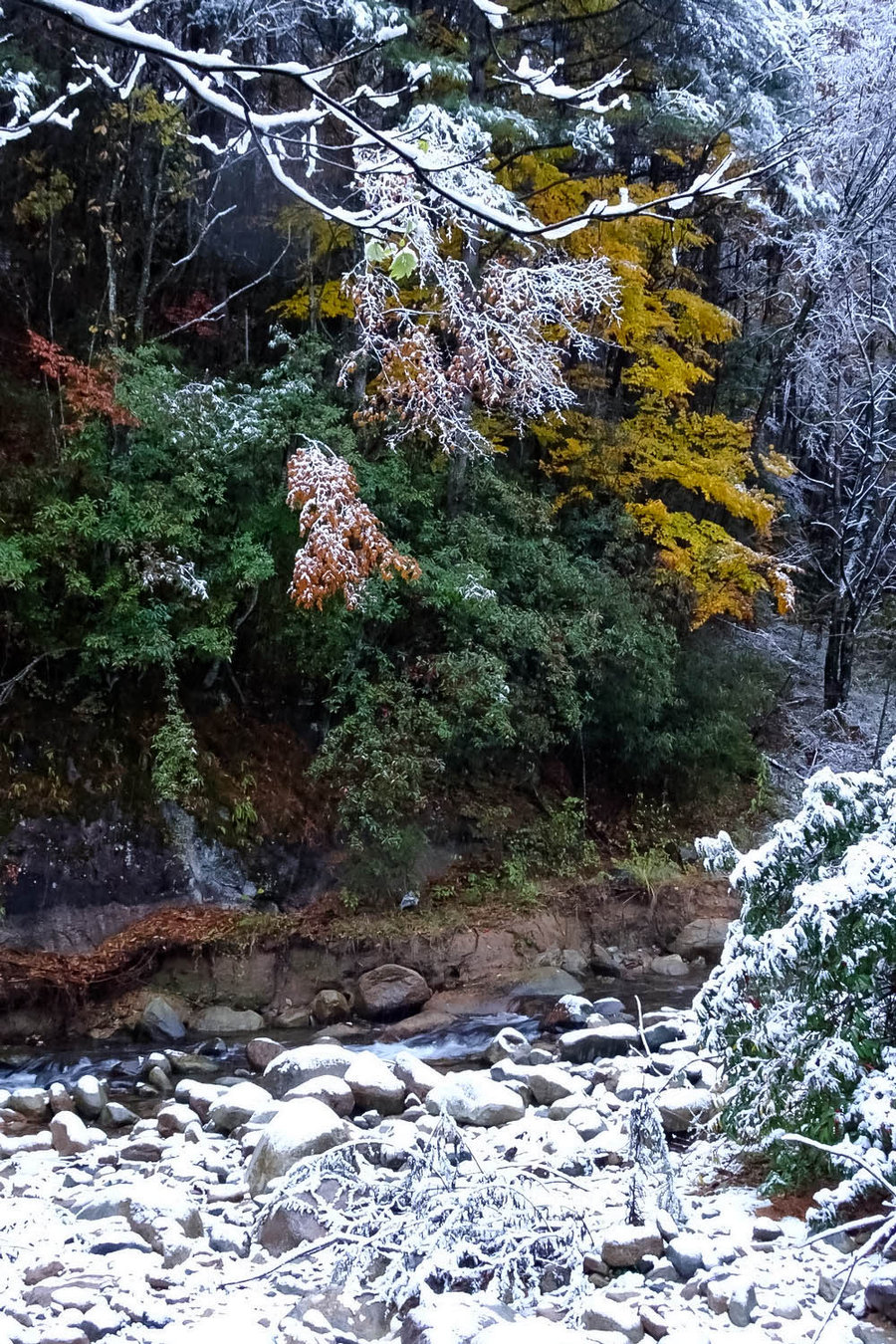 光雾山十八月潭雪景