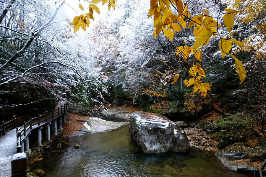 光雾山十八月潭雪景