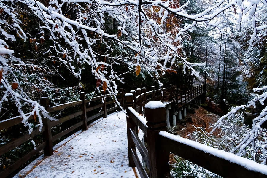 光雾山十八月潭雪景