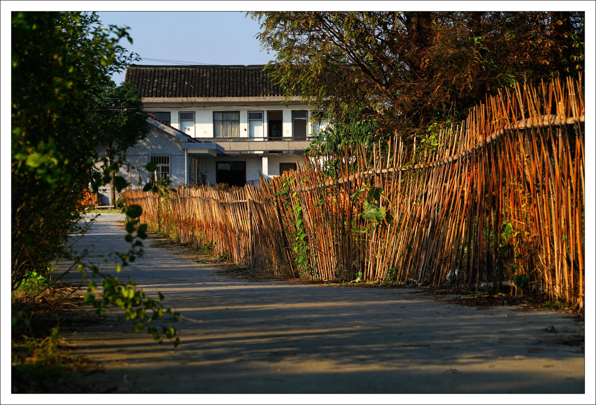 岑卜村(秋日行摄)