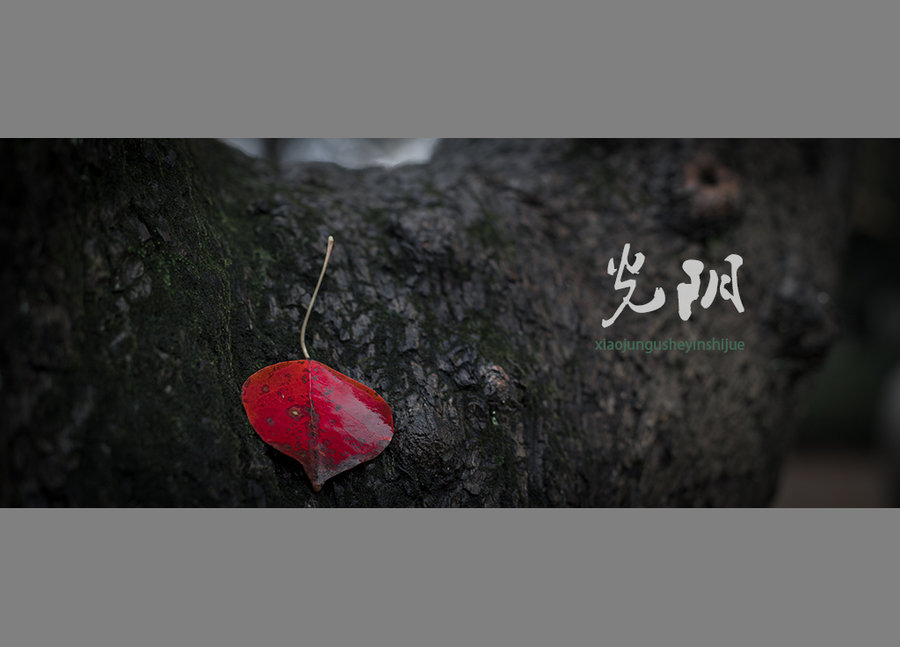 岁月.光阴.生命.时空