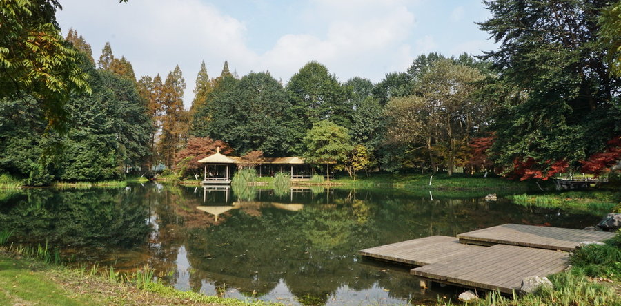 杭州太子湾公园秋色