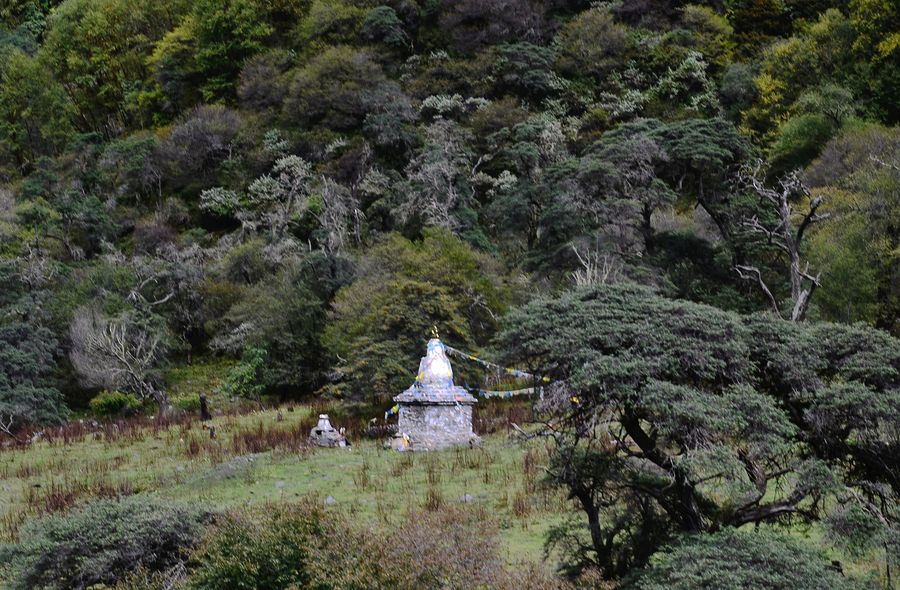 四姑娘山:人参果坪(二)