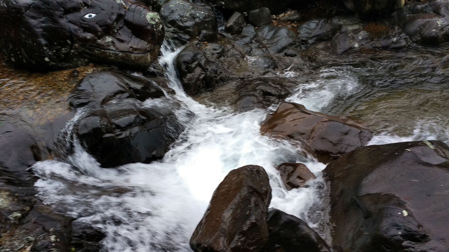 【雨天走进天目山大峡谷(手机随拍)摄影图片】