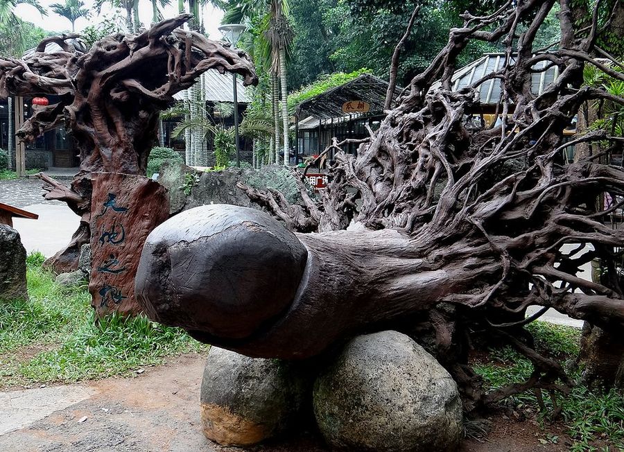 【--比根雕大的树雕在海南火山口公园!--摄影图