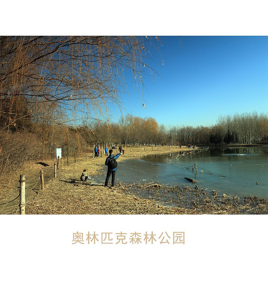 2017新年游奥林匹克森林公园