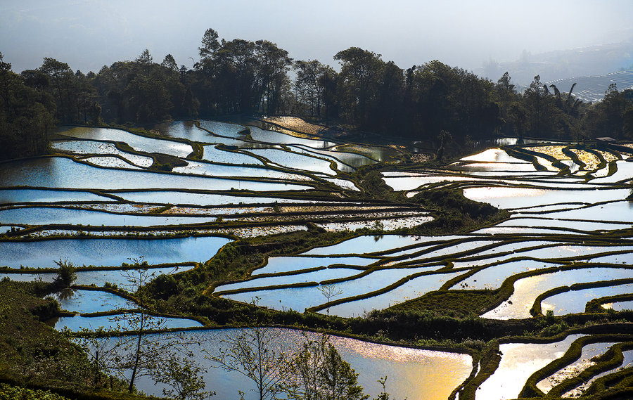 元阳哈尼梯田-2013年3月(共p)