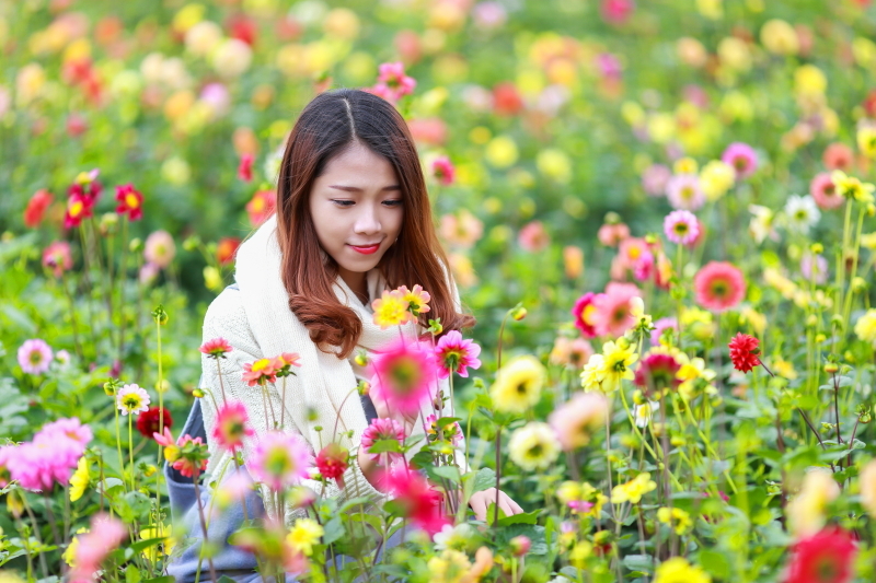 花田少女