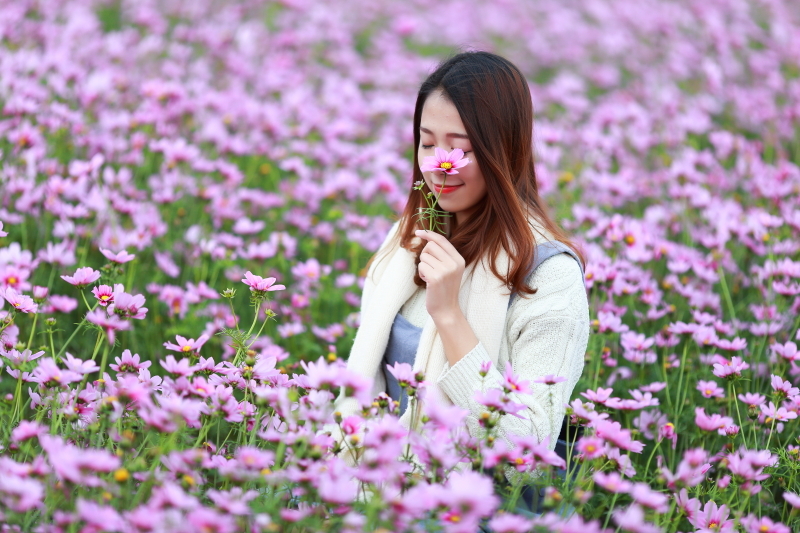 花田少女