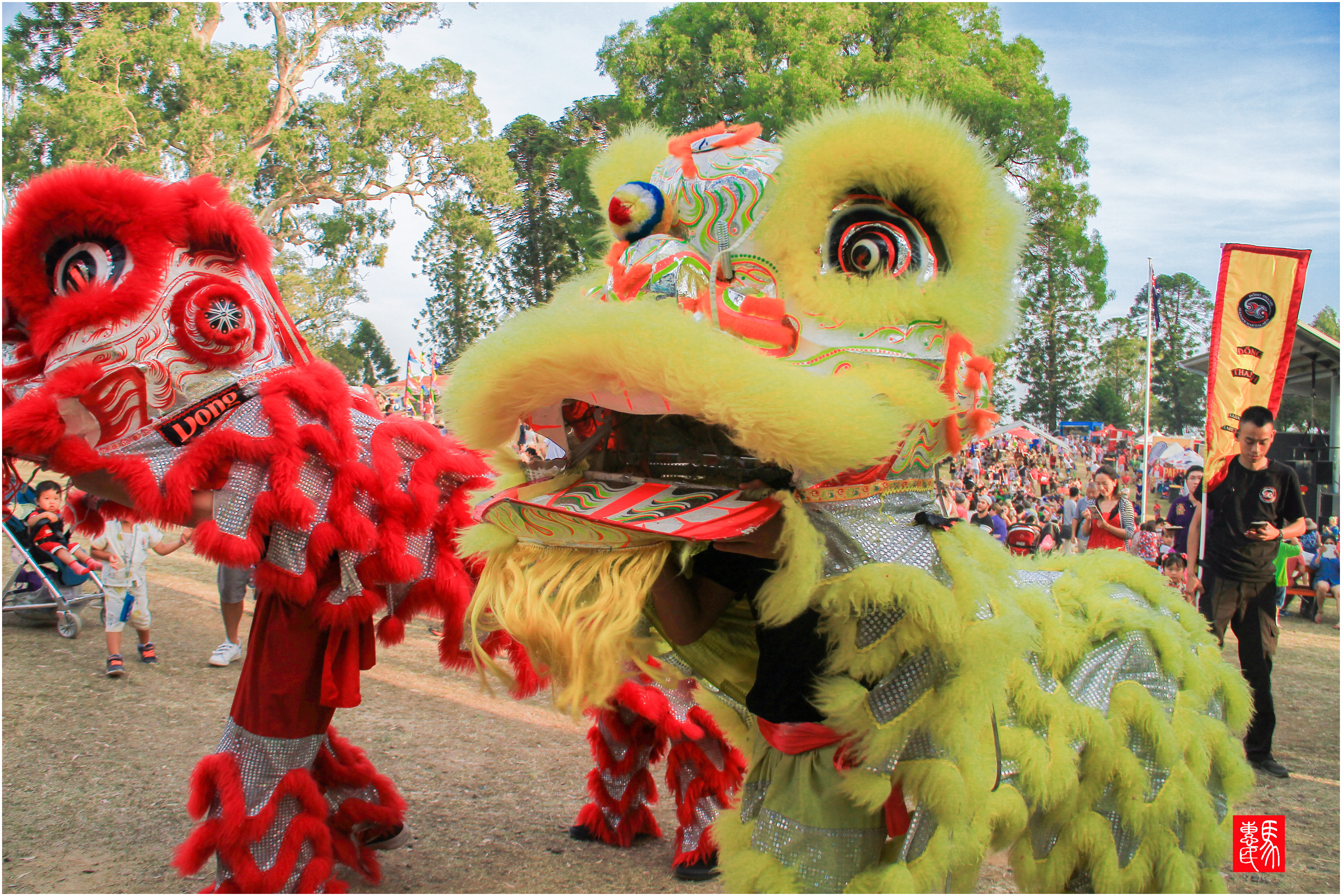 澳洲华人庆新年活动纪实(2)-舞狮
