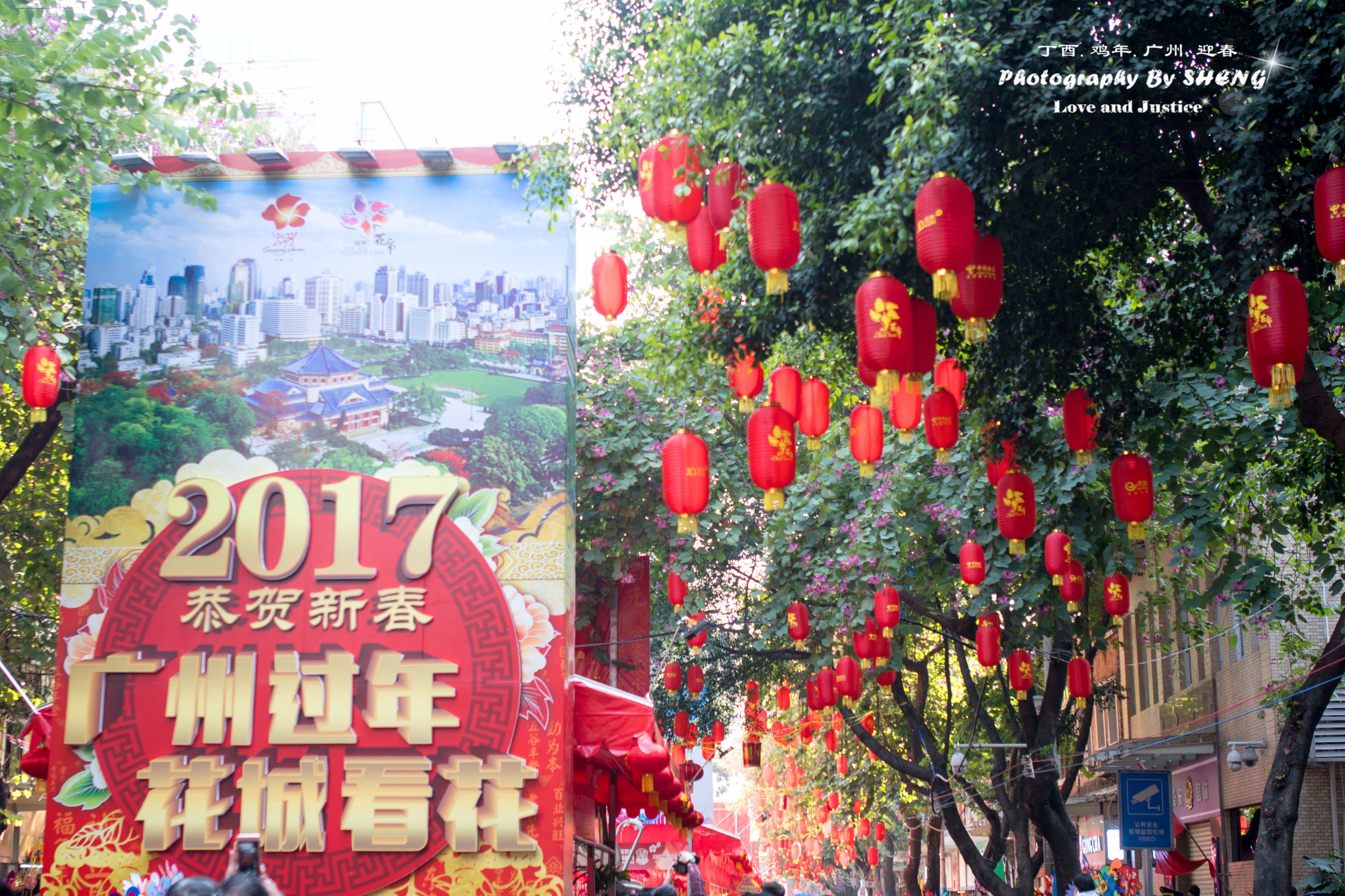 又一年的羊城,春节,花街