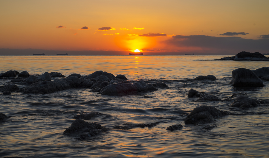 海鸥飞翔迎日出